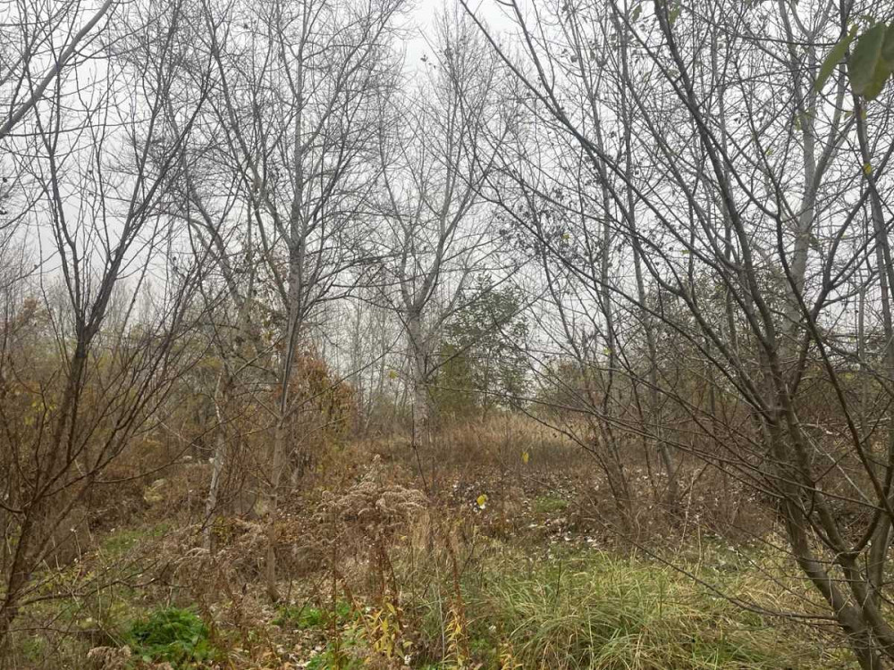 продажа участок под жилую застройку Киев, Деснянский, 55000 $ Київ - зображення 9