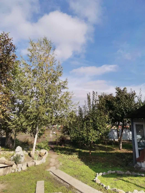 Продаж будинку Арнаутово Кропивницький - зображення 6