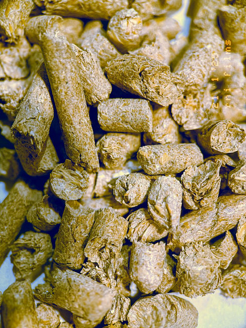 Наповнювач натуральний гігієнічний з лушпиння вівса для котів Київ - зображення 1