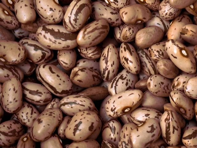 Продаємо квасолю. Будь-які обсяги Ужгород - зображення 1