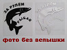 Наклейка на авто За рулем рыбак Бориспіль