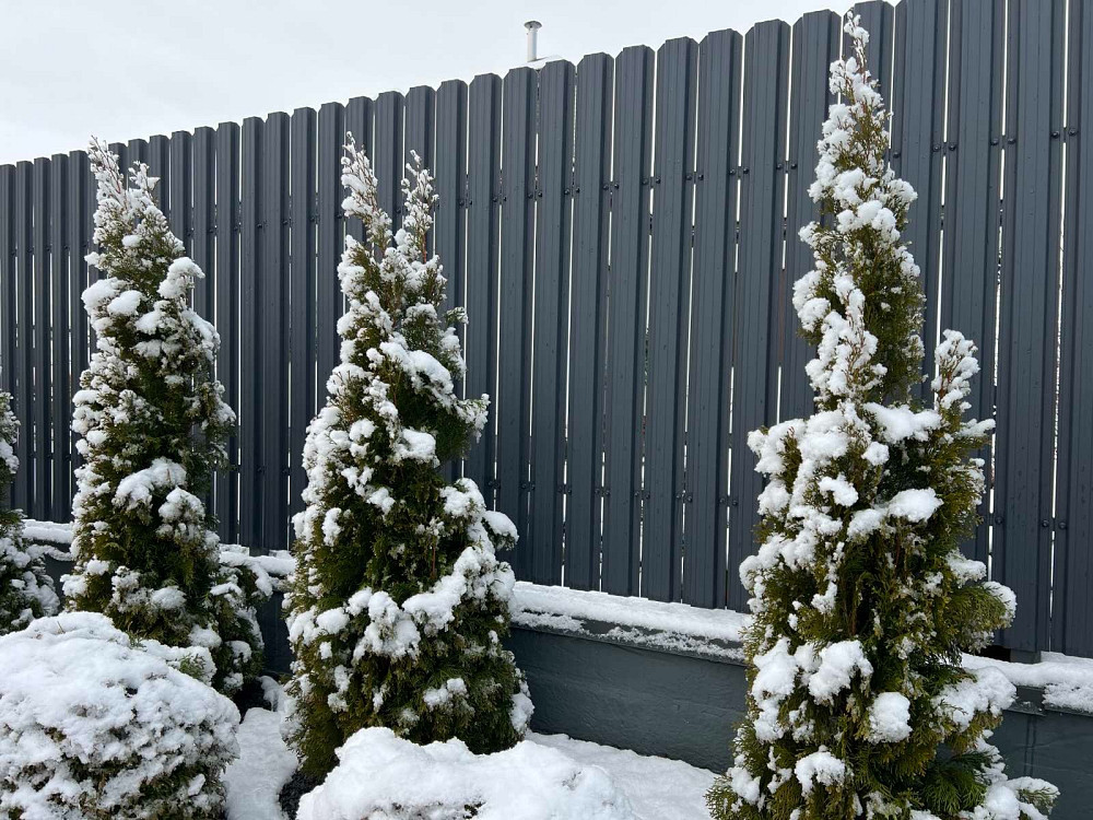 Штахетник металевий, металеві штахети від виробника Ровно - изображение 1