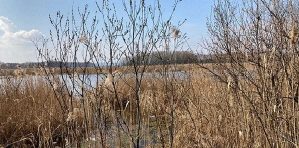 продажа земля сельскохозяйственного назначения Бориспольский, Головуров, 167300 грн.  - изображение 2