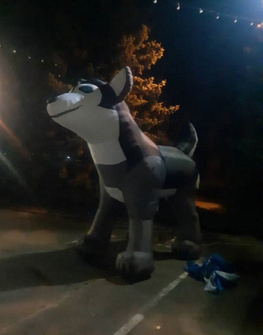 Зоомагазини Київ - зображення 4