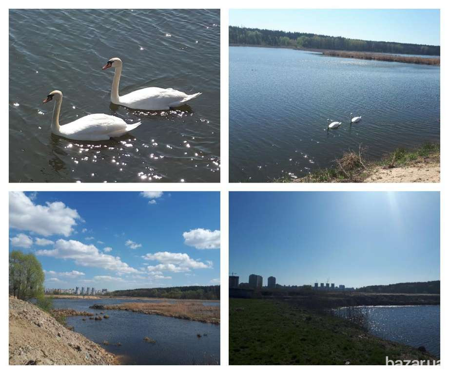 продажа участок под жилую застройку Киев, Святошинский, 298400 $ Київ - зображення 5