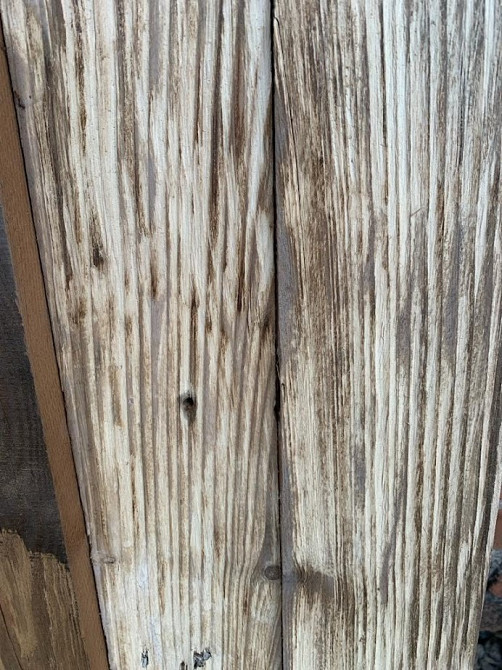 Дошка браширована з термососни (штучне старіння) Луцьк - зображення 2