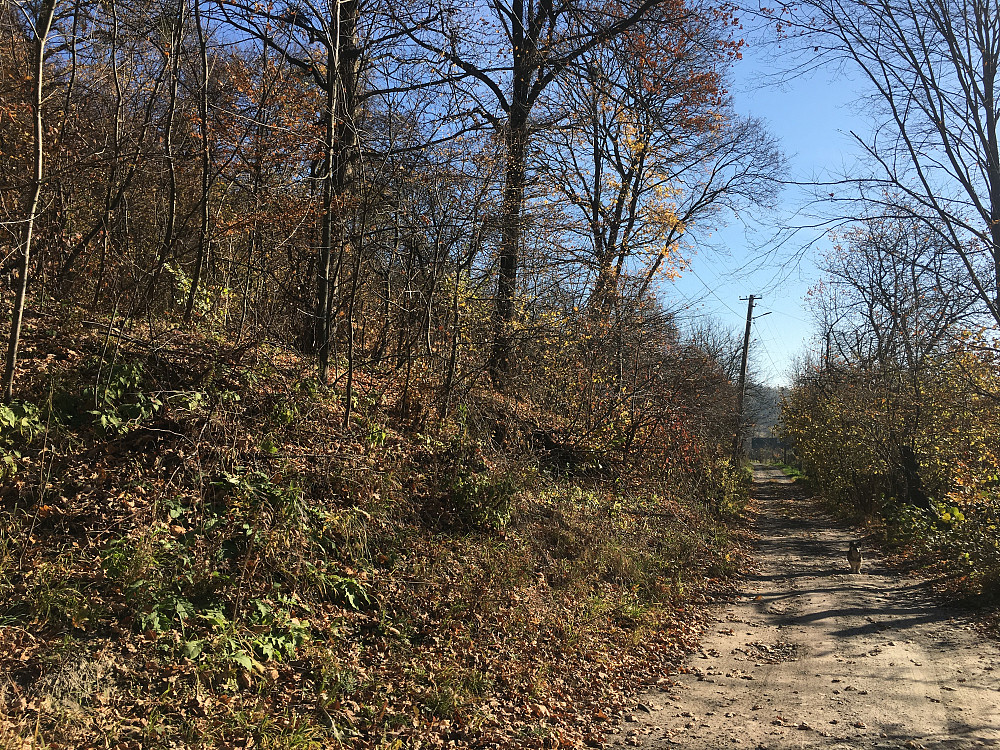 Продаж земельної ділянки, м. Винники, вул. Б. Хмельницького, площа 0.0550 га Винники - зображення 1