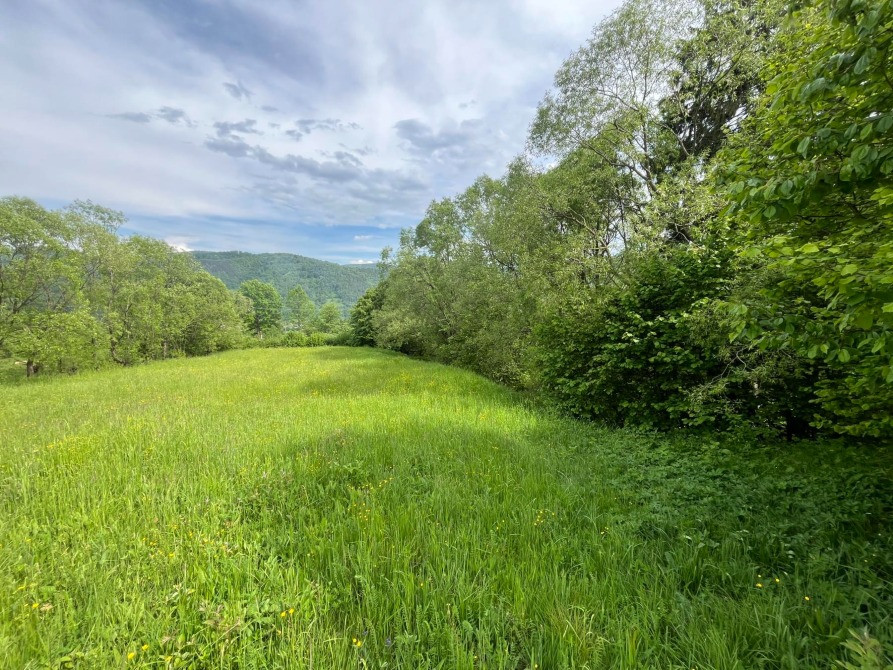 Земельна ділянка 0.18 га в Яремче Яремче - изображение 11