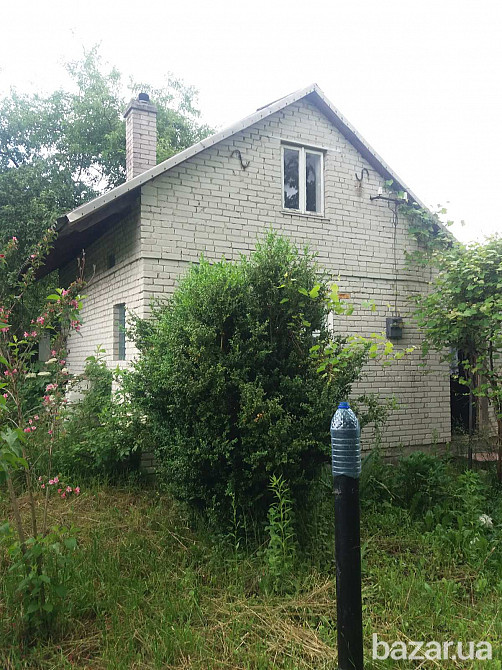 Продаю дачу в с Липники Львів - зображення 10