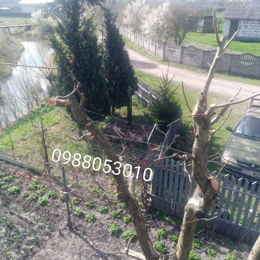 продажа 4-к дом Радеховский, Ястребичи, 49990 евро  - зображення 6