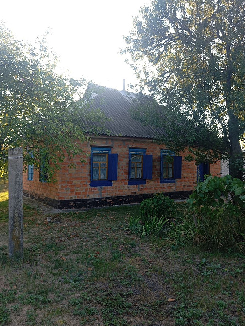 Приватний одноповерховий будинок Кременчук - зображення 4