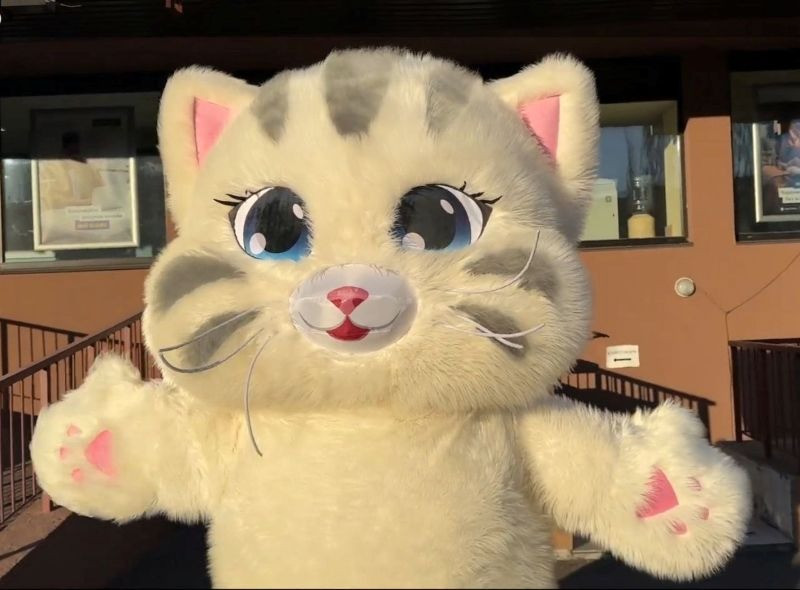 Надувной костюм аниматору кот 4 часа работы 2.4 м 60 Вт Киев - изображение 1