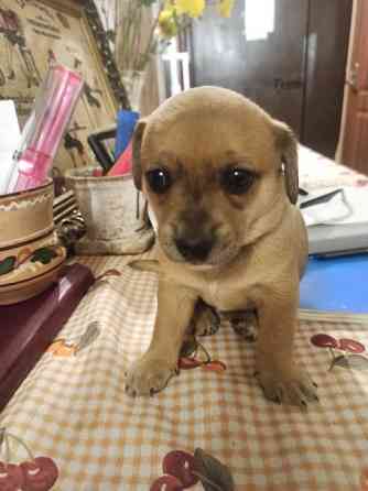 В хороші руки Київ