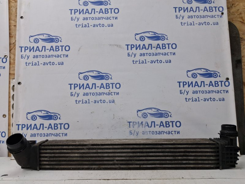 Радиатор интеркуллера Renault Megane 2008-2016 144964990R (Арт. 63858) Киев - изображение 1