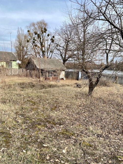 Продам земельну ділянку сел. Шаровка Богодухівський район Богодухов - изображение 4