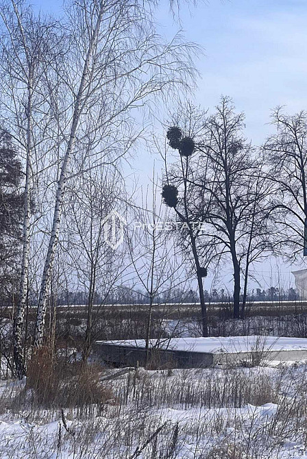 продажа земля сельскохозяйственного назначения Бориспольский, Гнедин, 60000 $  - зображення 10