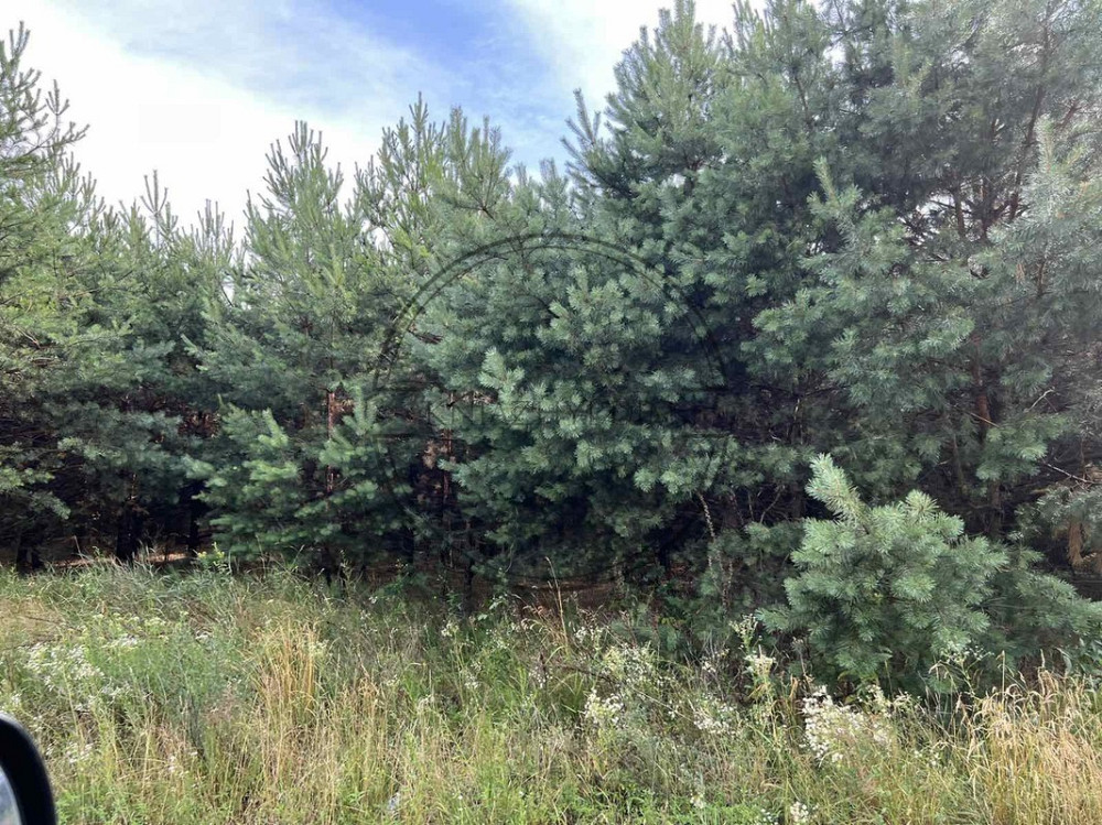 Продаж земельної ділянки в селі Бобриця, Києво - Святошинського р-ну. Код об'єкту №: 264760 Киев - изображение 2