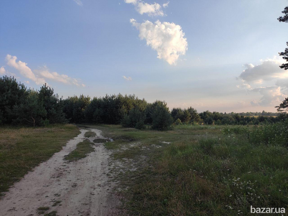 Продам земельні ділянки в с. Козлин Ровно - изображение 3