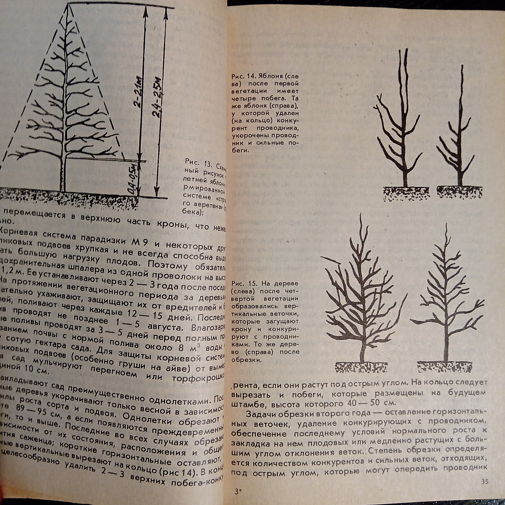 Сад без химии. Защита растений от вредителей. Львов - изображение 9