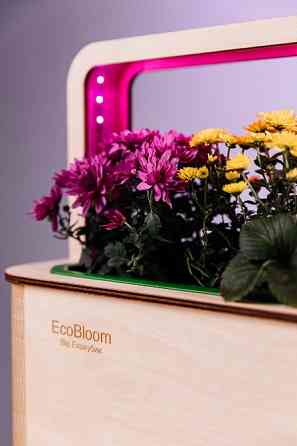 EcoBloom Smart Garden Розумний сад вдома Ивано-Франковск