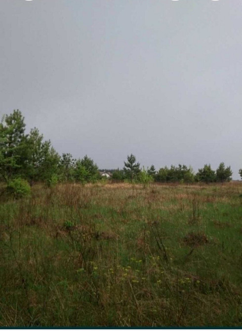 Земельна ділянка 7 Га, Мостище Макаров - изображение 1