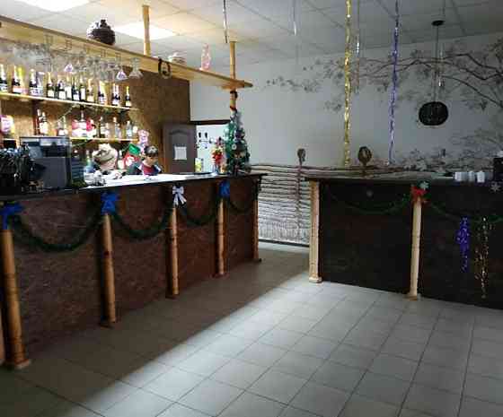 Продам. Кафе 540 м.кв. Підгородне, траса, вул.Шосейна. Дніпро