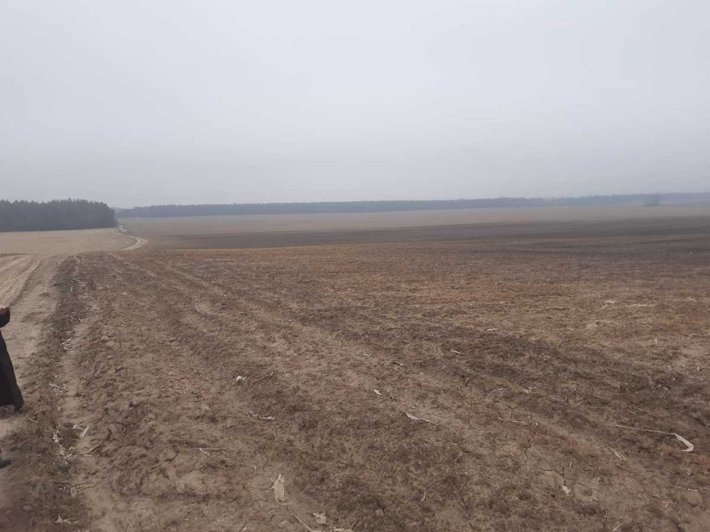 продажа земля сельскохозяйственного назначения Бориспольский, Вороньков, 221503 грн.  - зображення 4