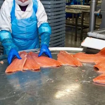 Шоковая заморозка,низькотемпературні камери для переробки риби Київ - зображення 3