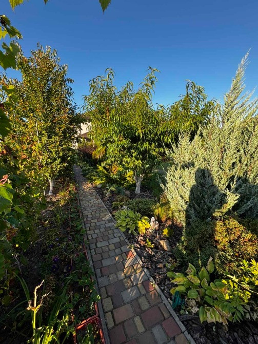 Продаж котеджу з ремонтом в КМ Home Resort Березівка Київ - зображення 5