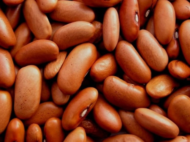 Реалізуємо товарну квасолю. Київ - зображення 1