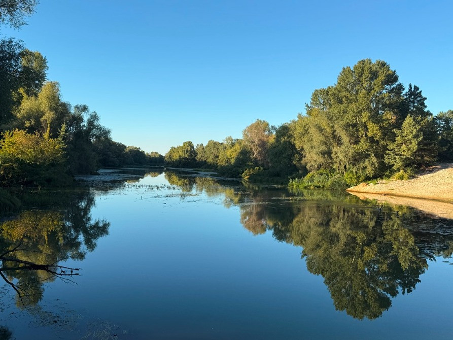 Ділянка під будівництво 34 сотки з лісом Вишгород - зображення 8