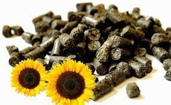 Пеллети з лушпиння соняшника, брикети з лушпиння Харків - зображення 1