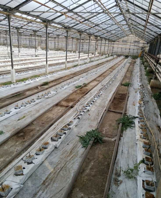 продажа производственные помещения Никопольский, Никополь, 13631538 грн. Никополь - изображение 9