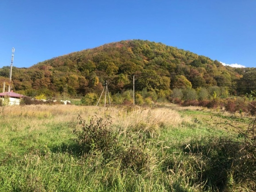 Земельна ділянка 10 сот в смт Чинадієво Мукачево - изображение 1