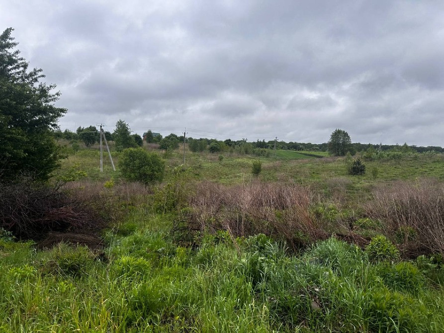 Продаж землі Зубра 12сот осг бічна Лесі Українки Львів - зображення 5