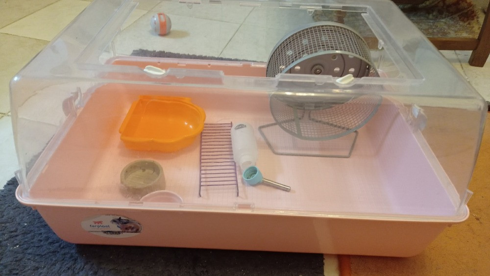 Клетка для хомяков MINI DUNA Ferplast, 50*35*25см, Италия Київ - зображення 1