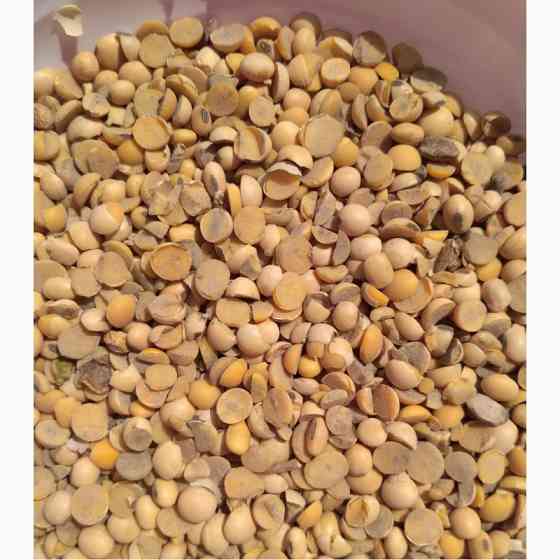 Закуповуємо половинки сої по Україні Запоріжжя