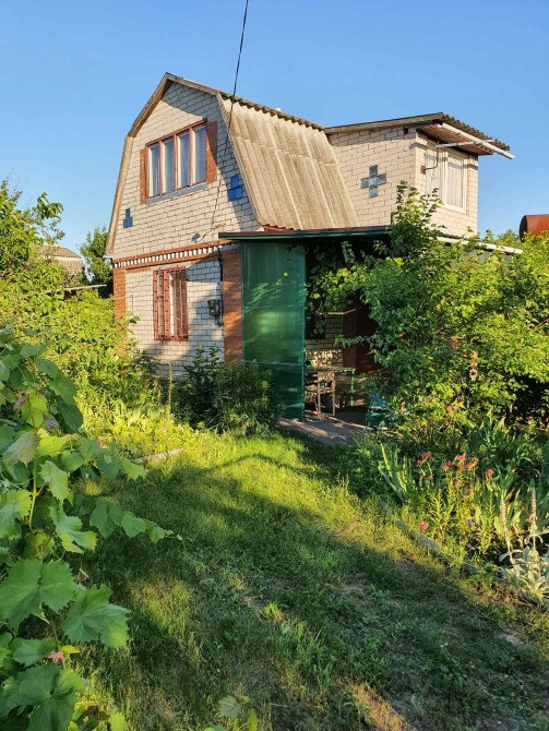 Продам дачу в Романках Кременчуг - изображение 3