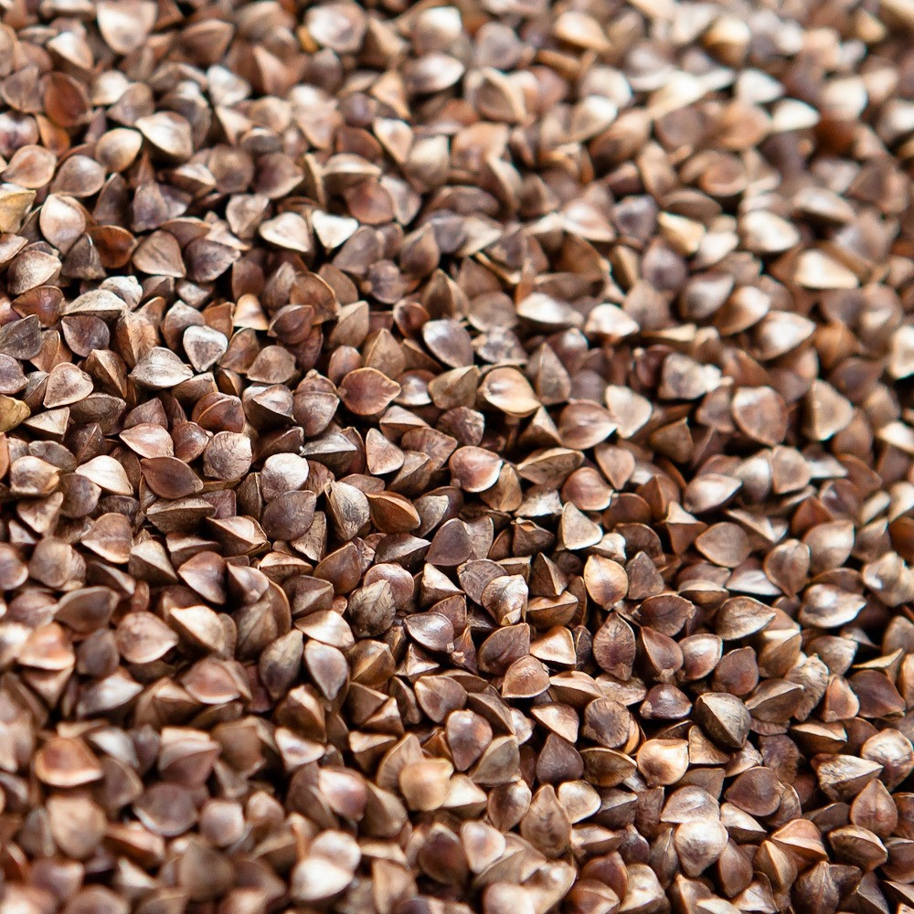 Зерно гречки. Гречиха оптом Житомир - изображение 1