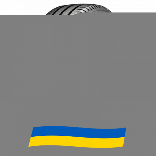 215/60 R17 Michelin Agilis 3 109/107T Легковантажна шина Київ - зображення 1