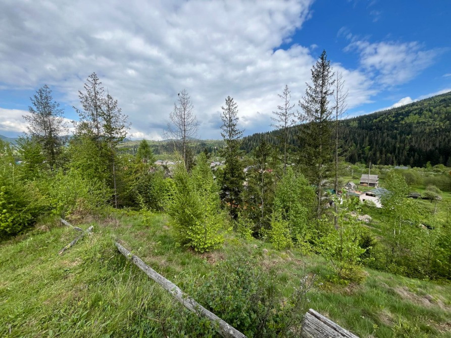 Земельна ділянка в Микуличині 0.08 га. Яремче - зображення 9