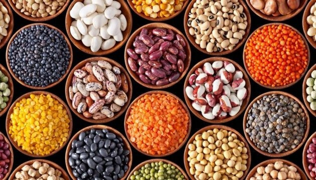 Квасоля продаж. Реалізуємо квасолю оптом від 5т Ужгород - изображение 1